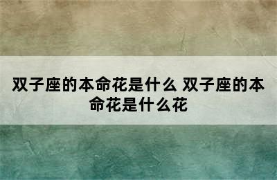 双子座的本命花是什么 双子座的本命花是什么花